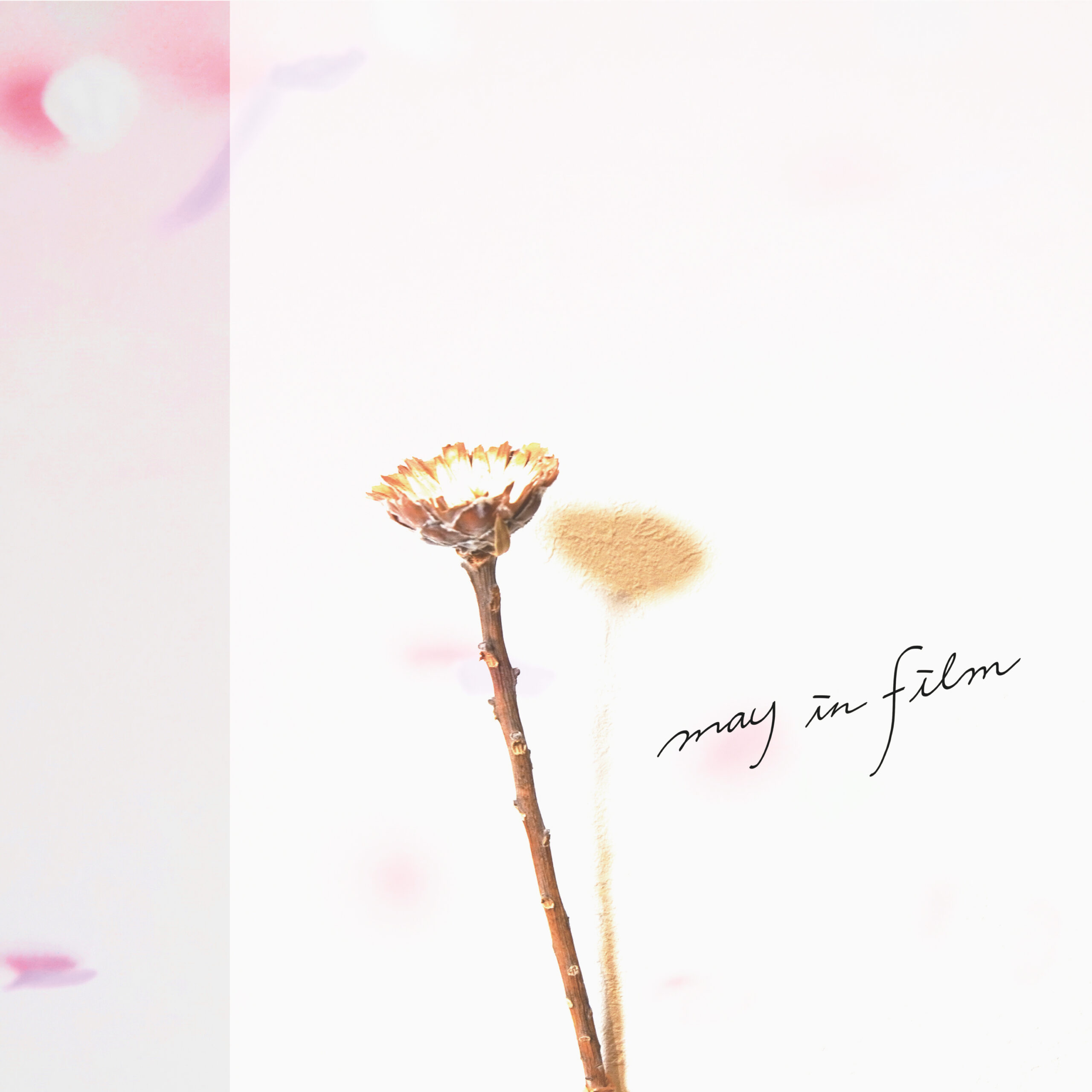 flower letter